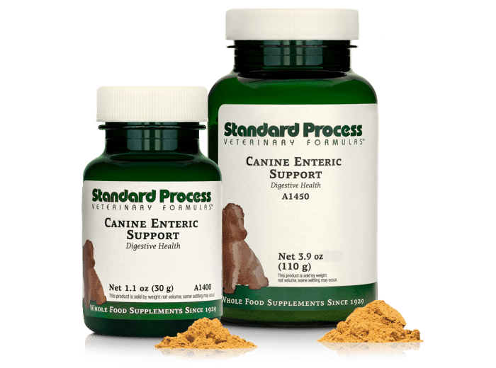 Canine Enteric Support