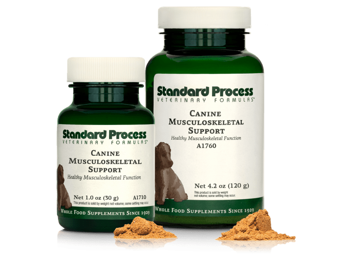 Canine Musculoskeletal Support