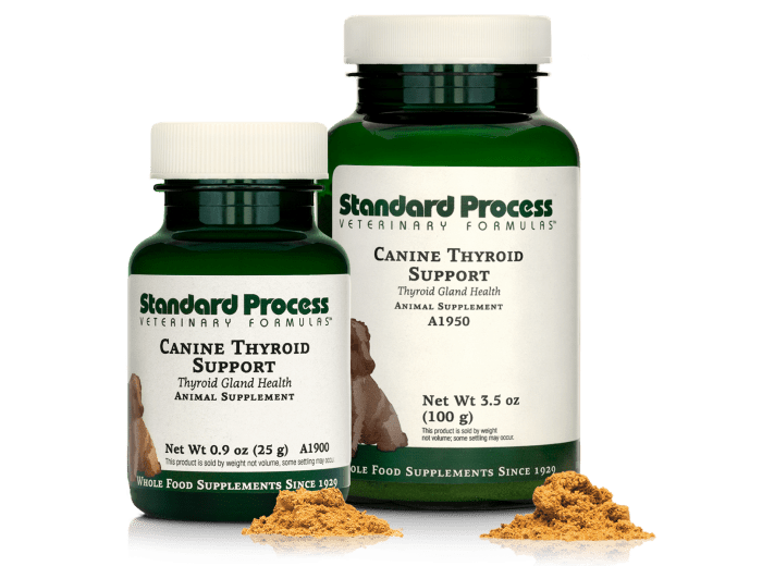 Canine Thyroid Support