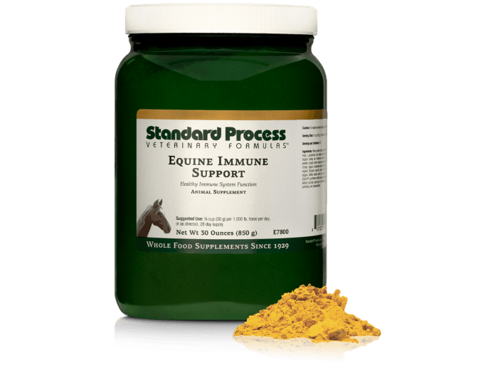 Equine Immune Support