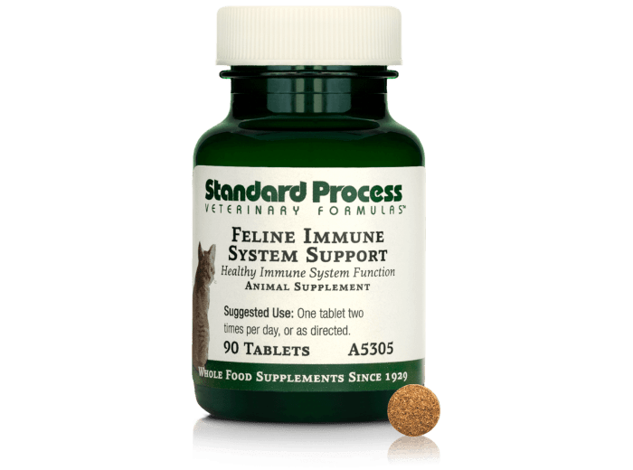 Feline Immune System Support