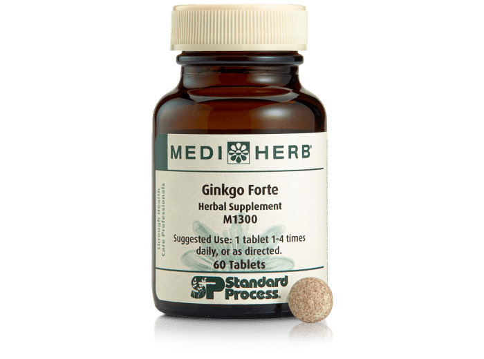 Ginkgo Forte