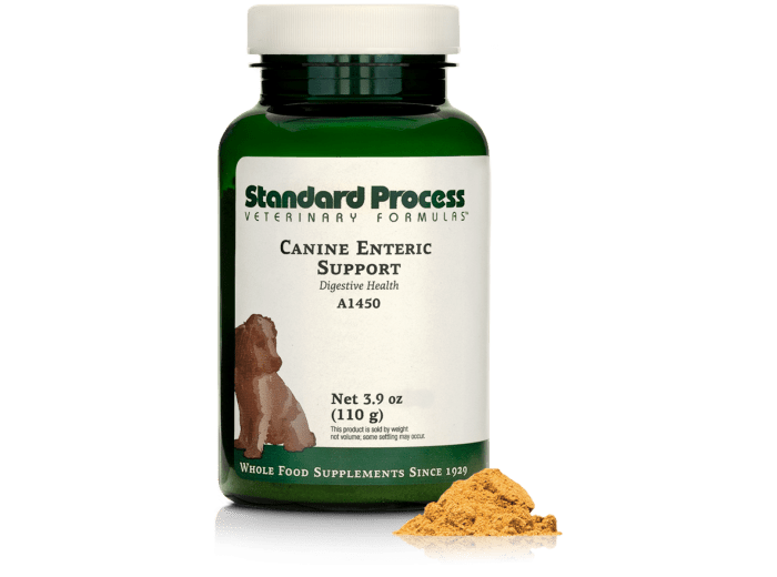 Canine Enteric Support