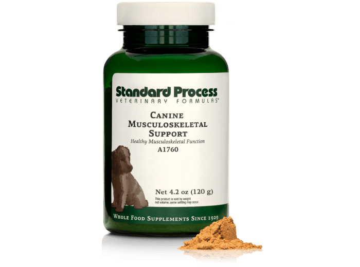 Canine Musculoskeletal Support