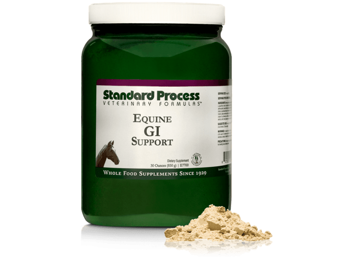 Equine GI Support