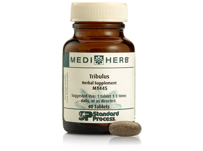 Tribulus