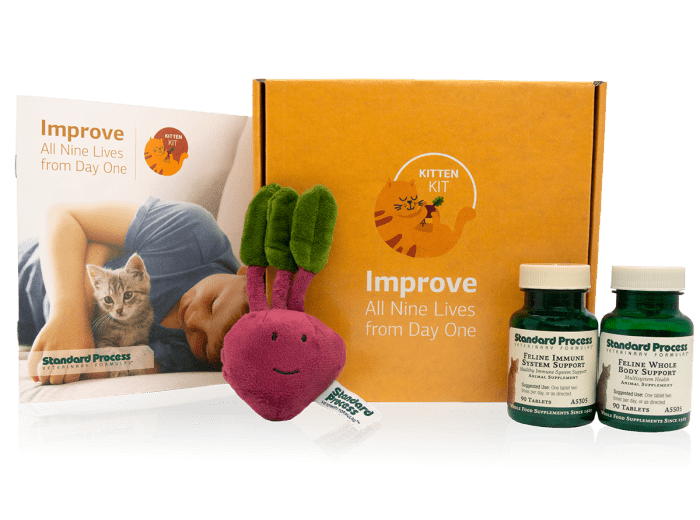 Kitten Kit