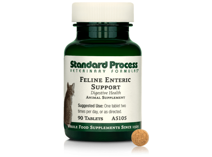 Feline Enteric Support, 90 Tablets
