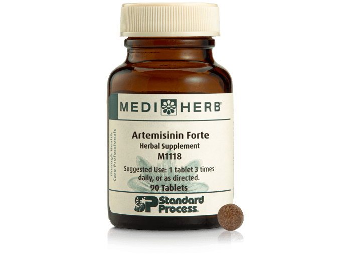 Artemisinin Forte, 90T