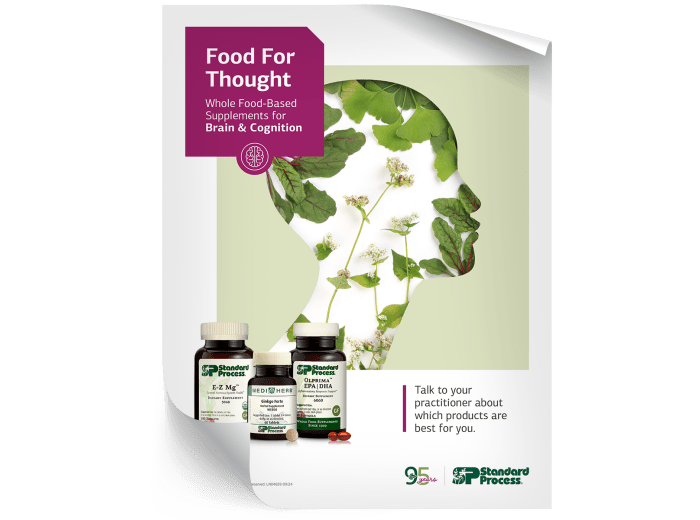 Brain & Cognition Acrylic Display