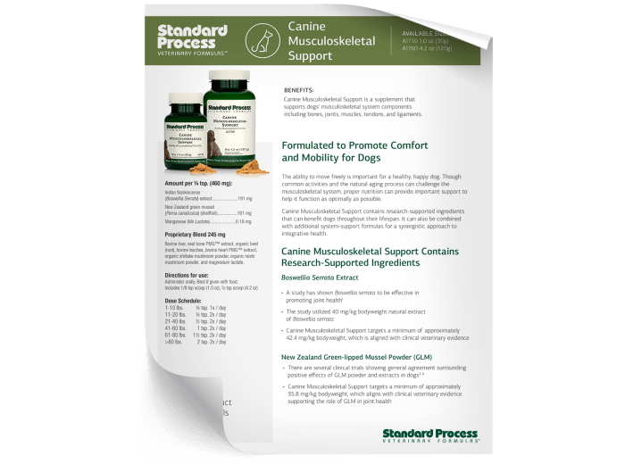 Canine Musculoskeletal Fact Sheet