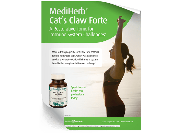 Cat's Claw Forte - Display Insert