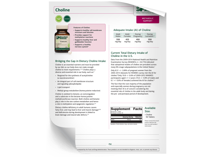 Choline - Fact Sheet