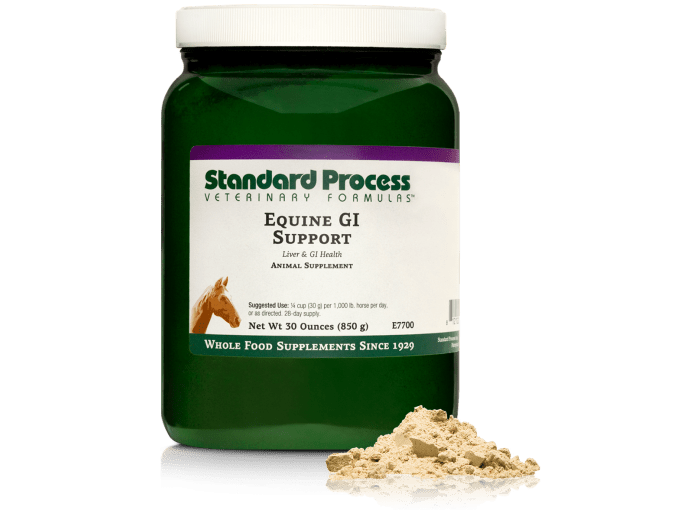 Equine GI Support