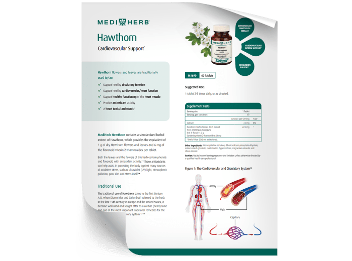 Hawthorn - Fact Sheet