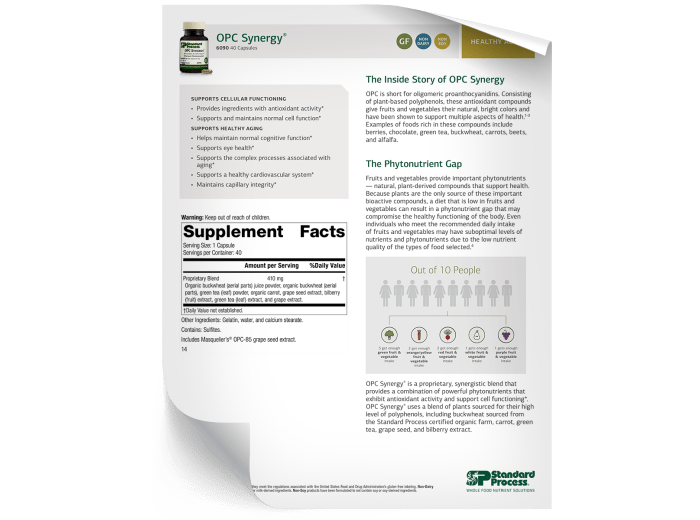 OPC Synergy Fact Sheet