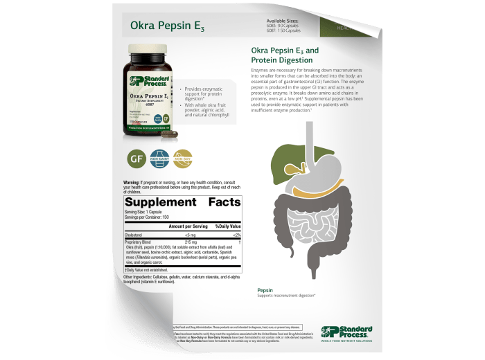 Okra Pepsin E3 - Fact Sheet