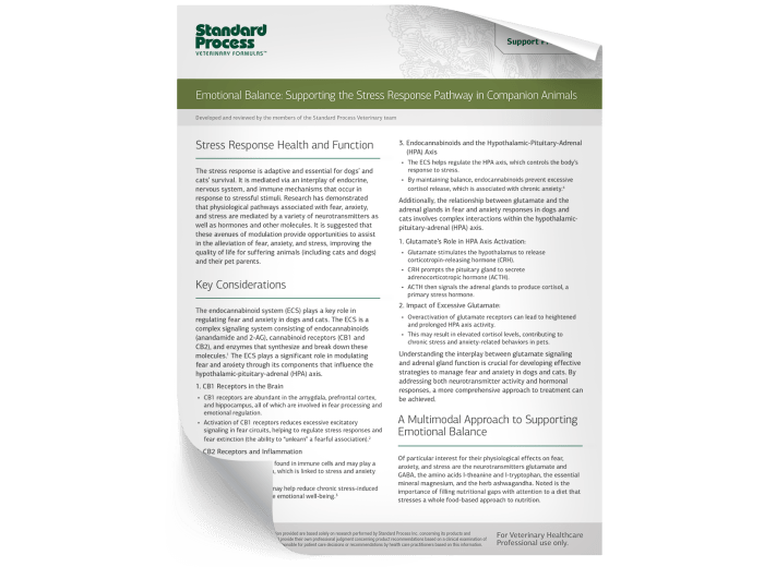 Pet Emotional Balance Clinical Protocol