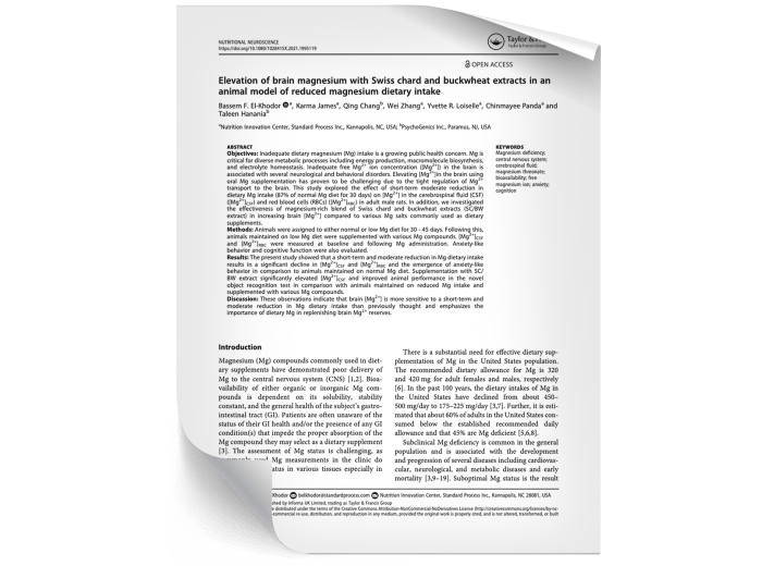 Plant-Based Magnesium Research Paper