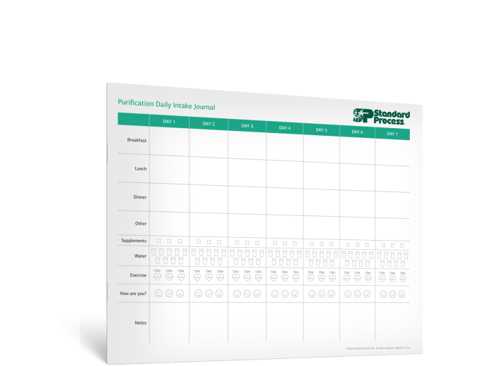 Purification Daily Intake Journal- Spanish