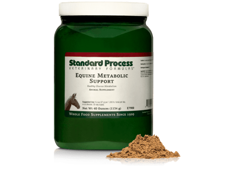 Equine Metabolic Support