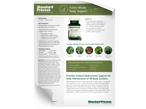 Feline Whole Body Support Fact Sheet