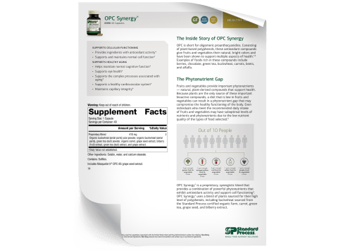 OPC Synergy - Fact Sheet