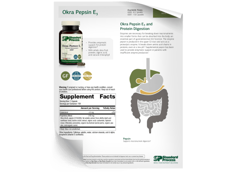Okra Pepsin E3 - Fact Sheet