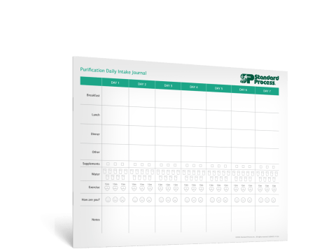 Purification Daily Intake Journal- Spanish