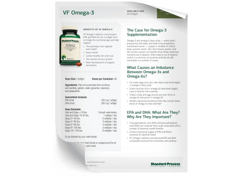 VF Omega-3 Fact Sheet