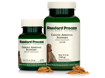 Canine Adrenal Support
