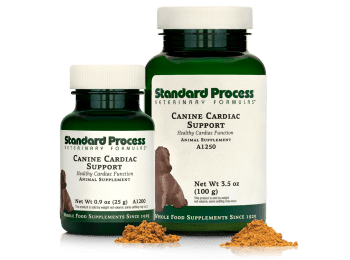 Canine Cardiac Support