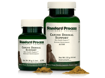 Canine Dermal Support