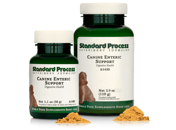 Canine Enteric Support