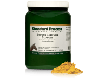 Equine Immune Support
