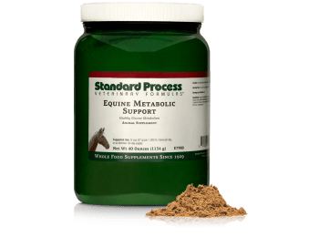 Equine Metabolic Support