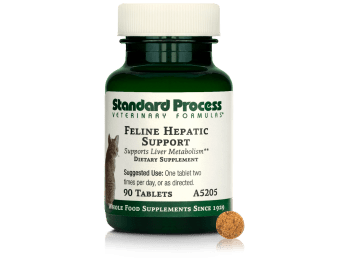 Feline Hepatic Support