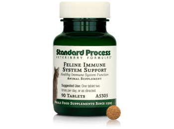 Feline Immune System Support