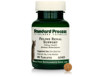 Feline Renal Support