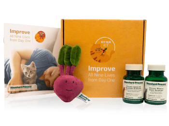 Kitten Kit