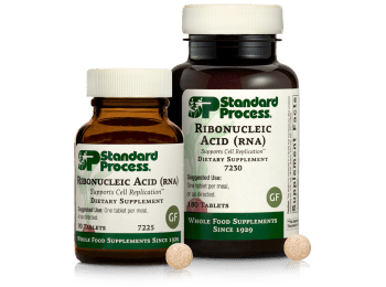 Ribonucleic Acid (RNA)