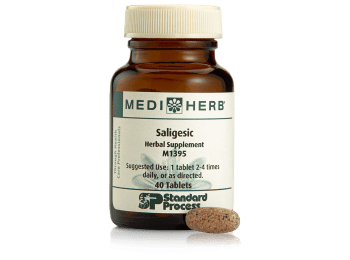 Saligesic
