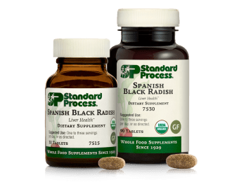 Spanish Black Radish