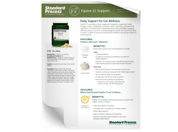 Equine GI Support Fact Sheet