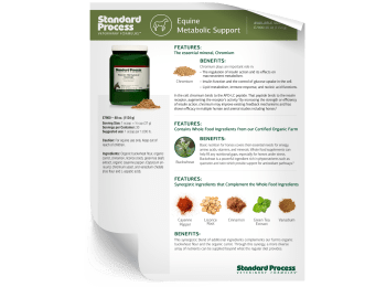 Equine Metabolic Support Fact Sheet