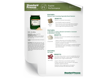 Equine Performance Fact Sheet