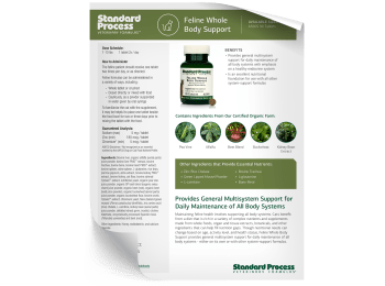 Feline Whole Body Support Fact Sheet