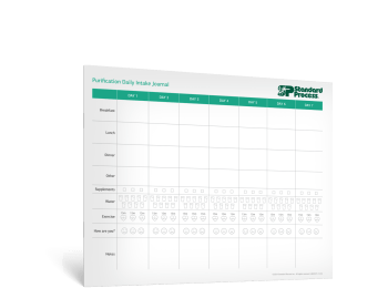 Purification Daily Intake Journal- Spanish